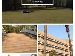 草坪等-浙江大学(紫金港校区)