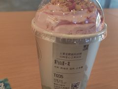 -雾与山茶(大禹城店)