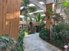 -南宫五洲植物乐园