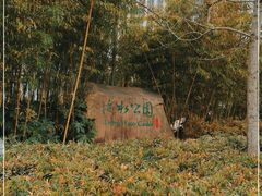 -活水公园