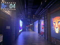 -CGV影城(壹方城IMAX店)