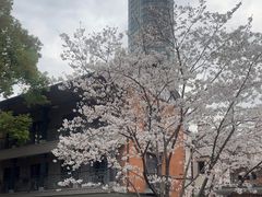 -华山263老字号品牌馆