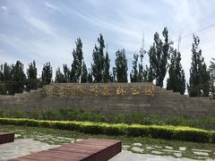 -永定河休闲森林公园