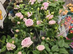 -大润发(花都店)