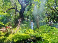 -Chom Cafe and Restaurant