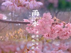 -南山植物园
