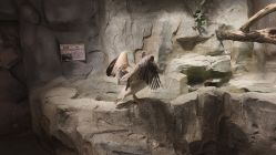 -Zoolung Zoolung动物主题公园(海信广场店)