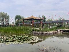 -同銮特种养殖场·龙虾垂钓