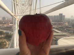 -弘阳·未来世界(弘阳广场店)