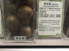 -北京中医药大学-中医药博物馆