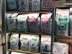 -艾贝尔宠物诊疗