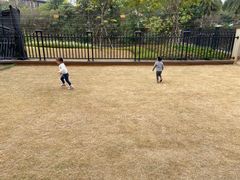 -美的鹭湖森林度假区