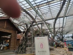 -北京莲花山滑雪场