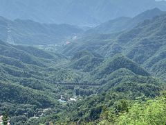 -大岭沟猕猴桃谷风景区