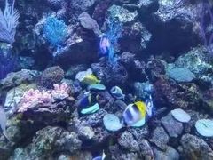 -大连老虎滩海洋公园
