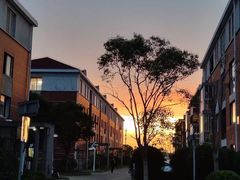 -春花秋色城市公园