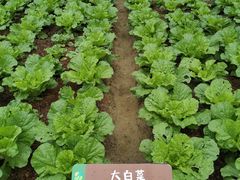 -中国天府农业博览园