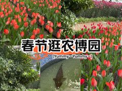 -长春农业博览园