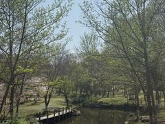 -采石矶景区