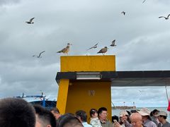 -海驴岛(荣成市)