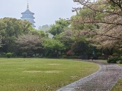-浙江西子宾馆·牡丹厅