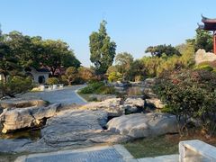 -东莞植物园