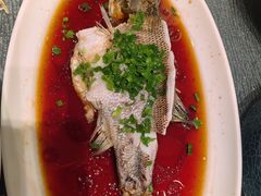-凤凰园烤鸭店·唐山菜·传承花椒肉(老唐丰路店)