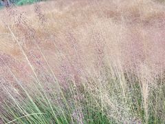 -中国天府农业博览园