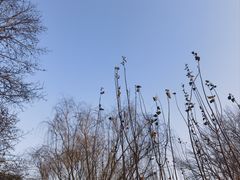 -元大都城垣遗址公园