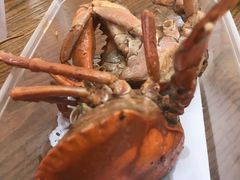 -鑫悦楼煎蟹·16年海鲜大排档