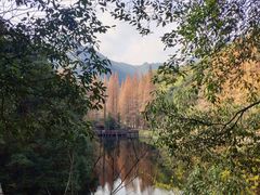 -天明山温泉大酒店