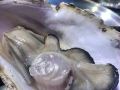 高压锅竹笼蒸蚝-蚝堡海鲜·威海菜·海肠捞饭·烧烤·亚洲吃蚝公司(幸福门店)