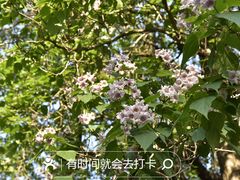 -国家植物园