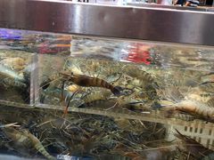 -盒马X会员店(王府井奥莱UP TOWN店)