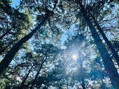 -长春净月潭风景名胜区
