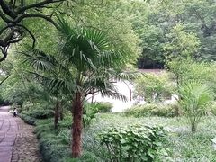 -法云安缦酒店
