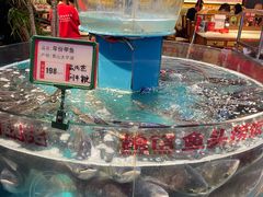 -魏铭鱼头捞饭(晋阳路店)