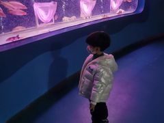 -苏州海洋馆