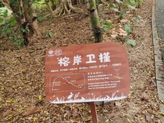 -华侨城湿地公园