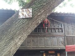 -云南驿景区-茶马古道景点