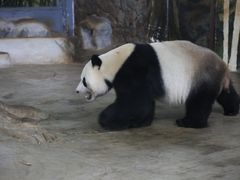 -海南热带野生动植物园
