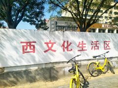 -北方饺子王·海肠捞饭·海鲜锅(山大店)