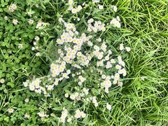 -桤木河湿地公园