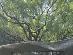 -宁波市保国寺古建筑博物馆