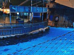 -海合安青岛极地海洋公园