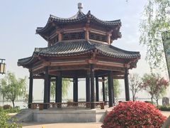 -南湖国家城市湿地公园