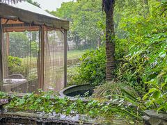 -野蔓果·山野菜(西湖景区·龙井茶田店)