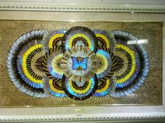 -上海昆虫博物馆