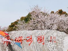 -滆湖低碳生态公园