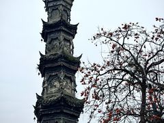 -祖传苏油糕